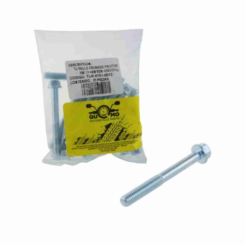 Tornillo M6X50 cromado para motocicleta bolsa con 20 piezas